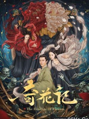 影片4